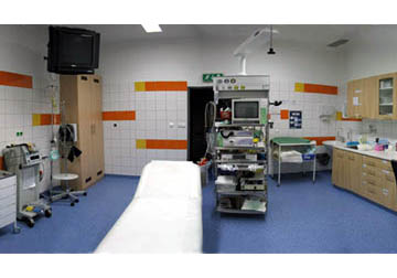 GASTRO01.jpg